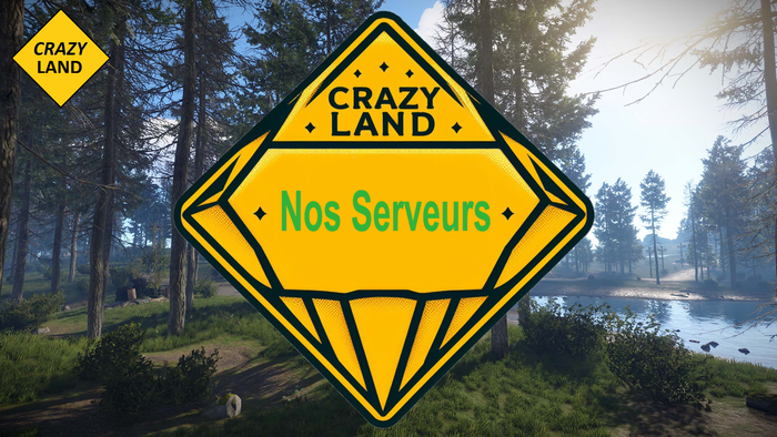 Nos Serveurs